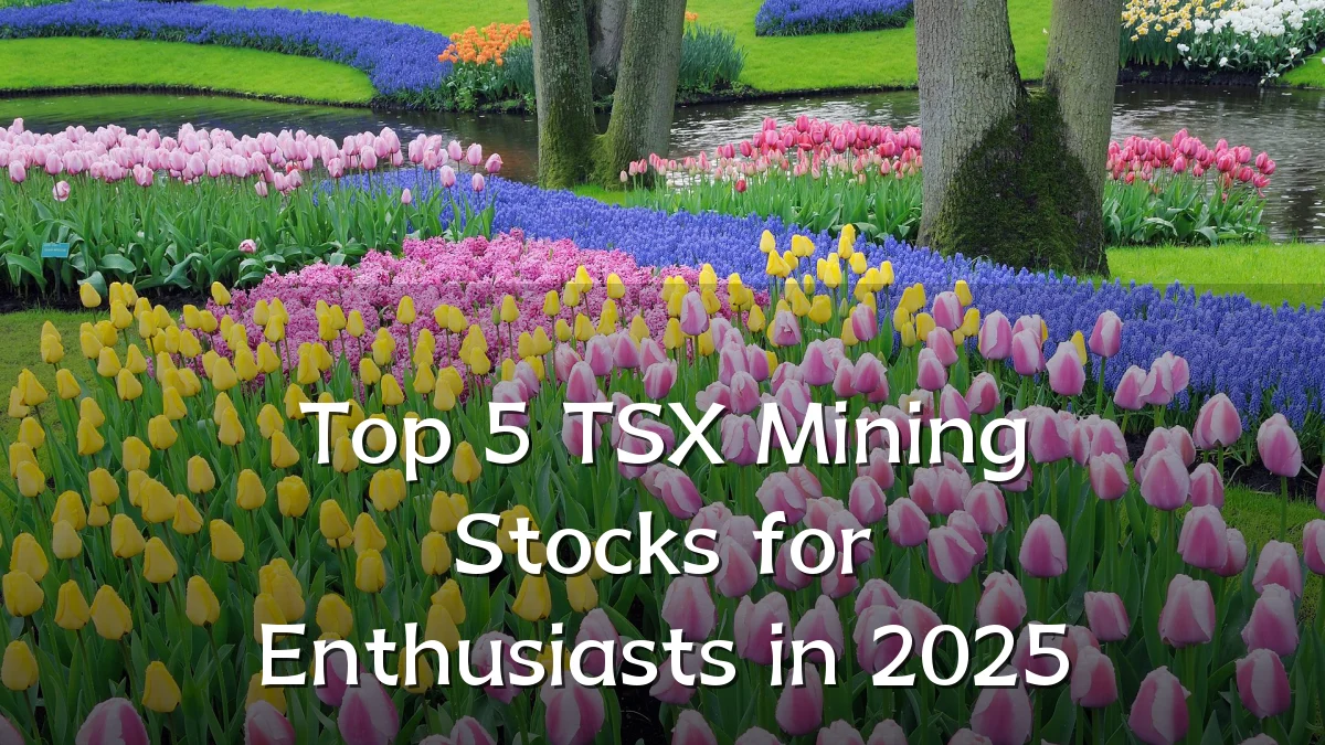 Top 5 TSX Mining Stocks for Enthusiasts in 2025