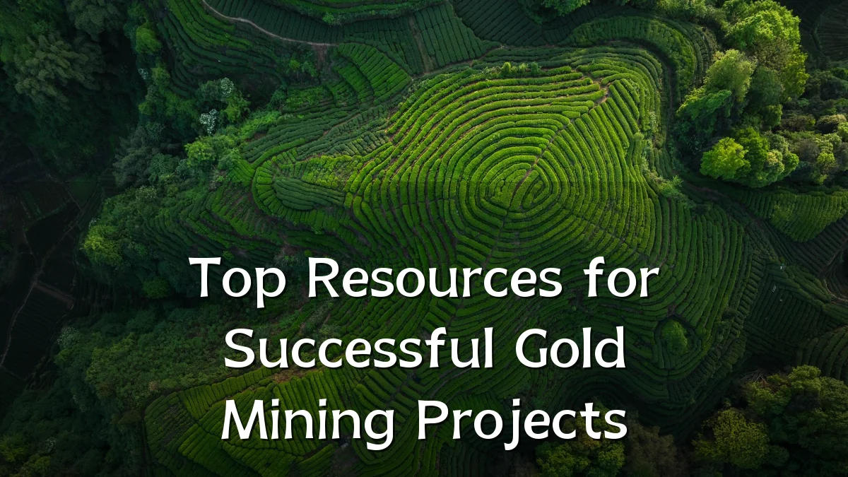 Top Resources for Successful Gold Mining Projects