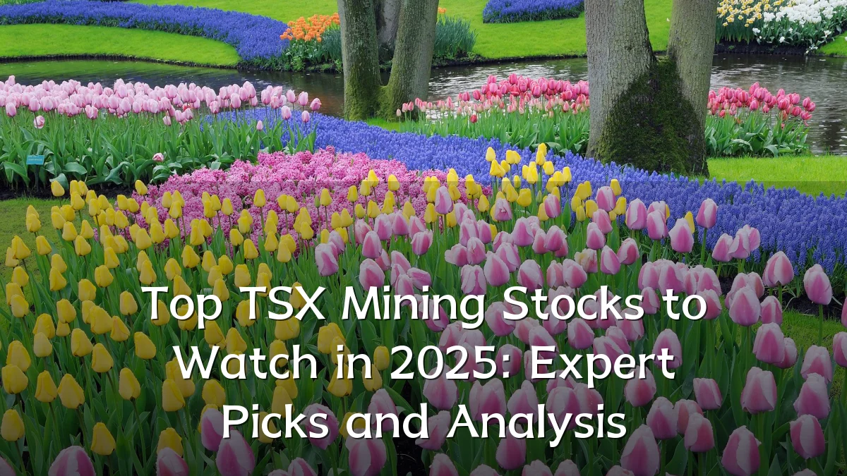 Top TSX Mining Stocks to Watch in 2025: Expert Picks and Analysis