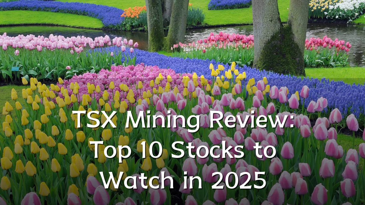TSX Mining Review: Top 10 Stocks to Watch in 2025